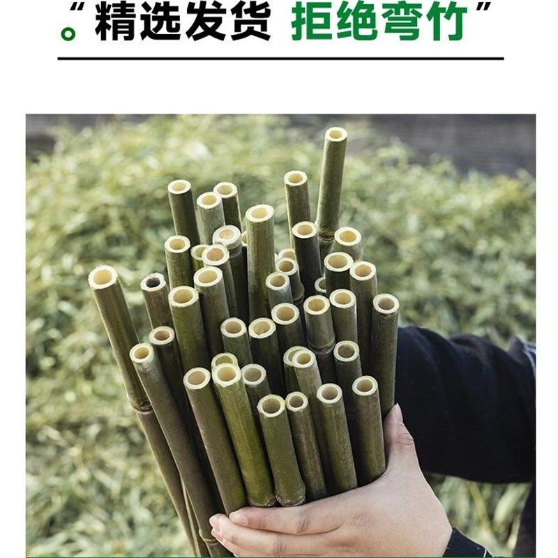 竹子竿竹竿菜园搭架豆角架杆黄瓜竹竿棍小竹子围栏旗杆怕藤架栅栏