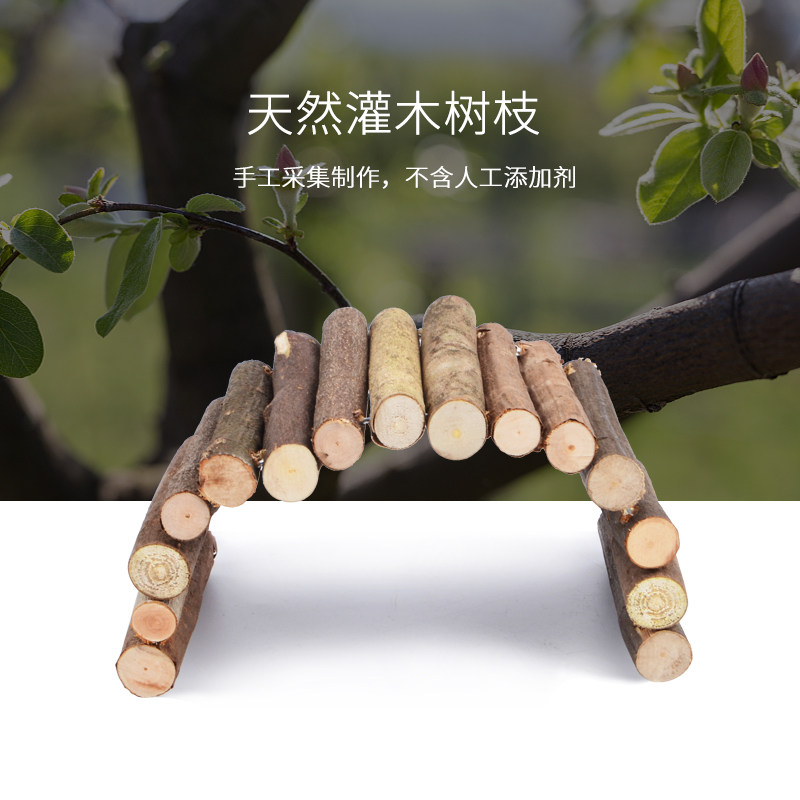 爬宠躲避窝黄缘乌龟蜥蜴角蛙寄居蟹躲避洞爬虫饲养箱生态造景用品