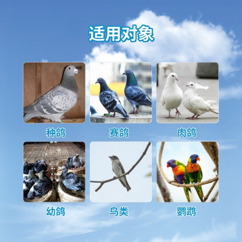 心连心鸽药嗉炎消丸鸽子胀嗉软嗉囊胀气粪便异常厌食吐食鸽鸟用品