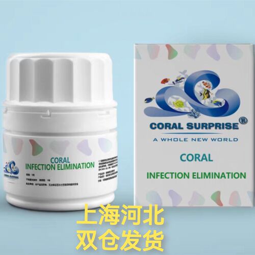 CS小白瓶 珊瑚感染  STN/RTN 布朗冻 真叶硬骨检疫