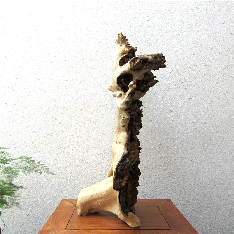 天然风化陈化枯木原木整体随形根雕根艺摆件自然禅意生态家居饰品