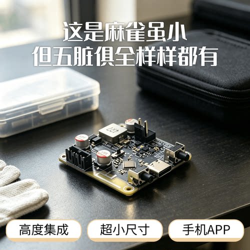 悦芯声D1蓝牙5.3山景DSP小尺寸手机APP低音多段EQ电子分频DIY旺仔