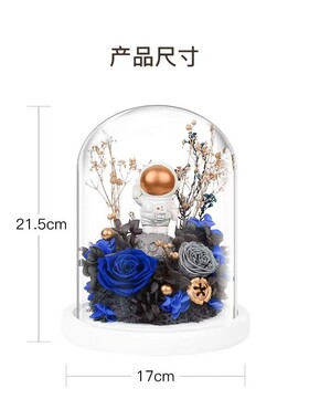 永生花玻璃罩玫瑰礼盒送男孩生日礼物圣诞节宇航员桌面摆件送女友