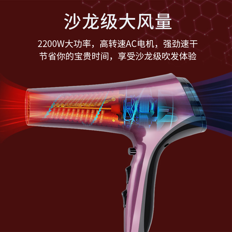 永日电吹风大功率发廊理发店大风力吹风机家用吹风筒发型师专用