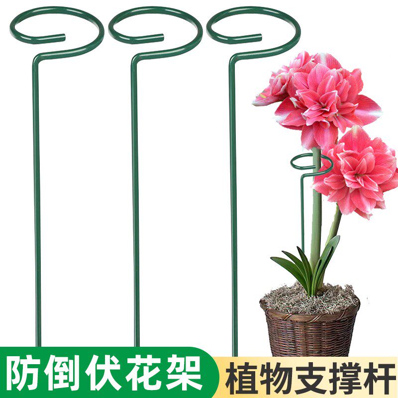 植物防倒伏支架铁艺绣球吊兰支撑杆园艺固定架爬藤花卉朱顶红花架