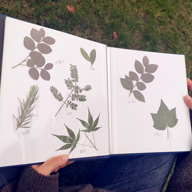 压花植物标本收集册创意diy手工相册自粘式覆膜影集礼品相册簿