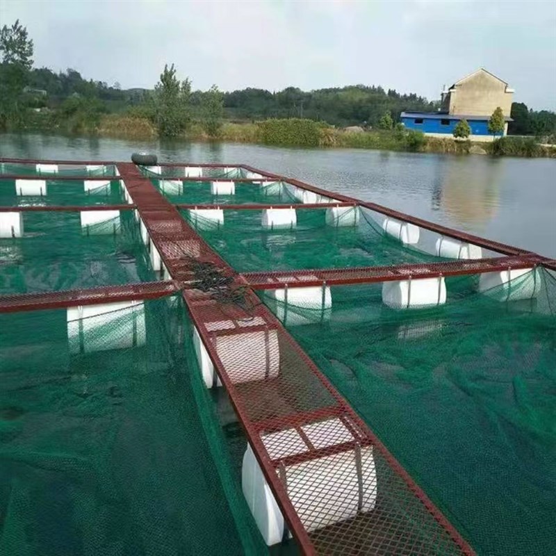 定制水产养鱼箱养殖网箱存鱼网箱带盖鱼塘水库专用大鱼养殖暂放网
