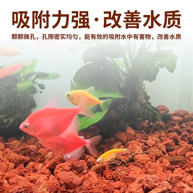 火山石鱼缸专用水族造景垫底砂古法养鱼材料大块过滤石火山岩颗粒