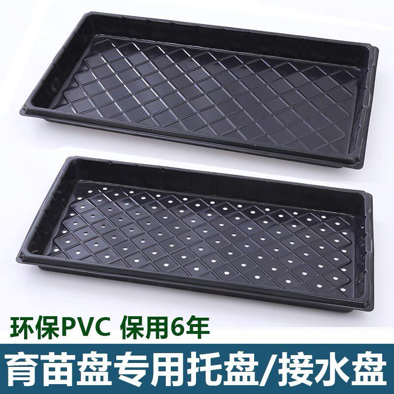 热卖豆芽菜育苗盘长方形穴盘多肉苗盘穴盆材质PVC防晒使用简便