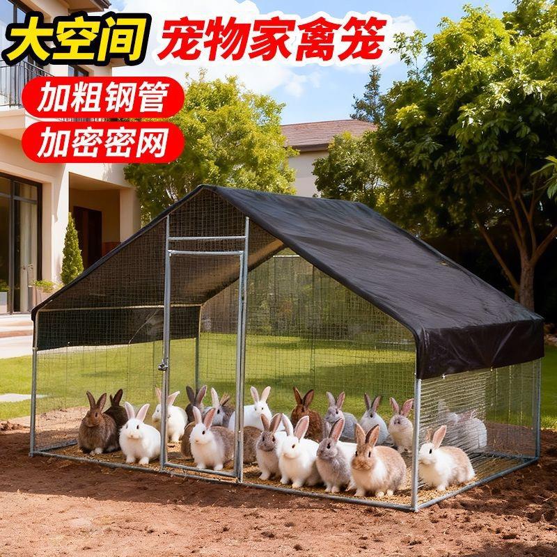 室外养殖养鸡鸽笼鸡棚特大号家禽斗鸡笼搭建鸡舍防雨养鸡棚全套