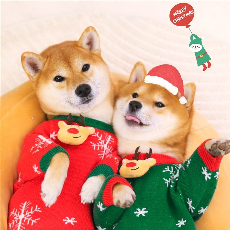 柴犬圣诞新年衣服可爱毛衣加厚秋冬保暖针织衫狗狗拜年喜庆过年