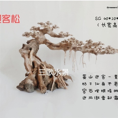 。鱼缸树景造景沉木水草莫斯树迎客松杜鹃根一木成景仿真树造型装