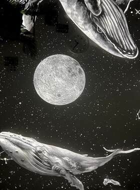 【鲸鱼物语】流星星空投影灯卧室满天星送男女朋友闺蜜生日礼物