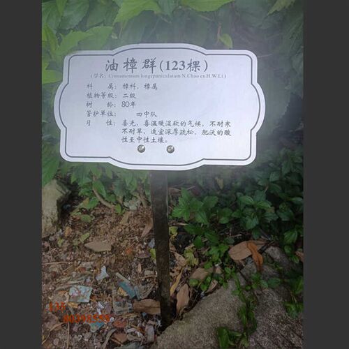 不锈钢树牌景区植物绿化花草标识牌树木介绍悬挂吊挂牌插地牌