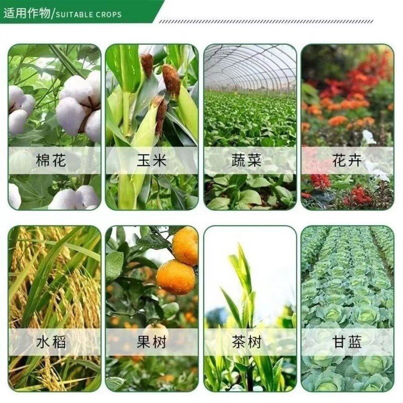 进口速溶磷酸二氢钾大包装叶面肥磷肥钾肥瓜果蔬菜花卉肥料通用