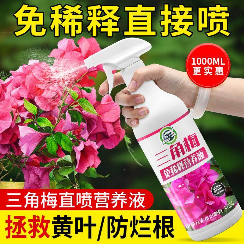 三角梅专用营养液免稀释肥料家用三角梅种植液体肥室内花卉通用型