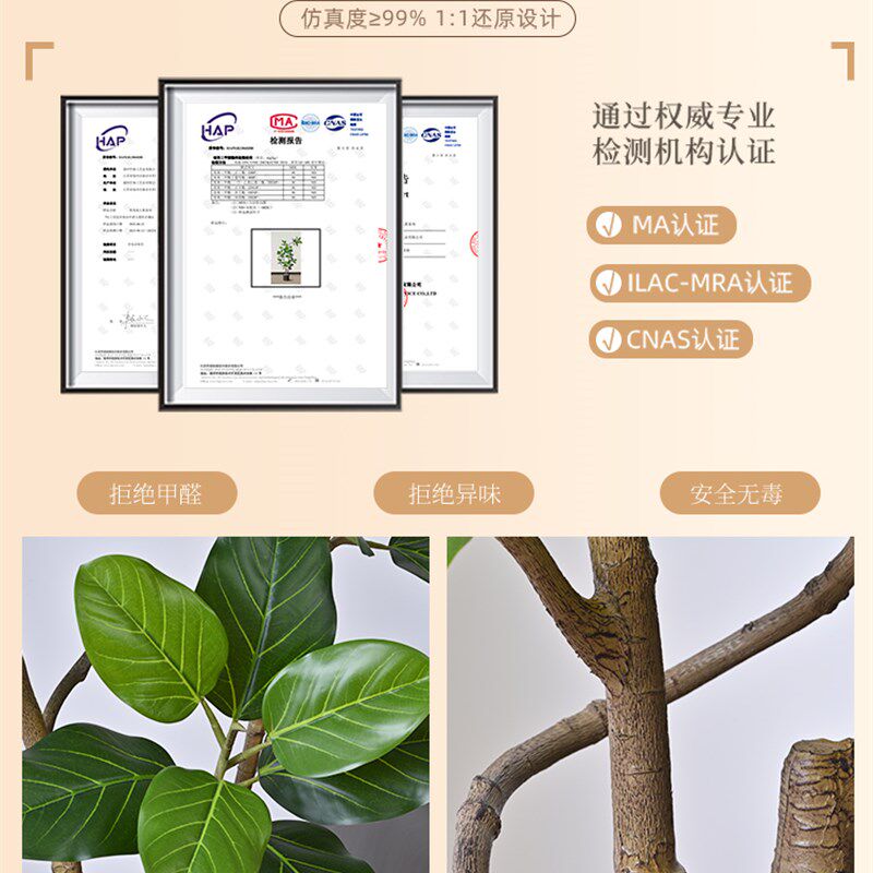 模拟绿色植物孟加拉榕树客厅窗户装饰阳台彷生植物景观入口大厅室