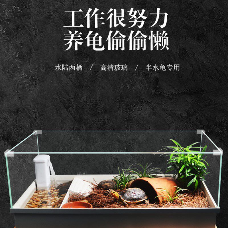 黄缘龟专用缸酷爬饲养箱玻璃水陆安缘半水龟生态造景植物养殖箱