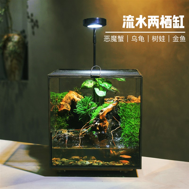 雨林缸创意苔藓微景观角蛙树蛙恶魔蟹爬宠缸养鱼造景生态瓶套餐