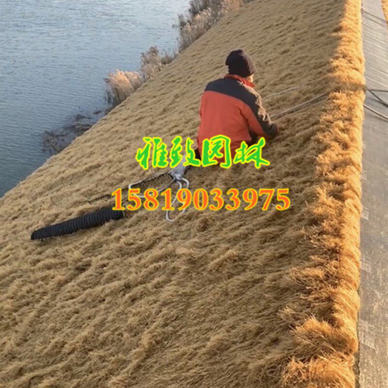 仿真茅草瓦仿真茅草坪大片塑料茅草PE环保高密度塑料材质茅草