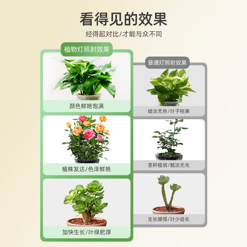 蝴蝶兰专用植物补光灯花卉绿植上色全光谱生长灯室内落地日照灯