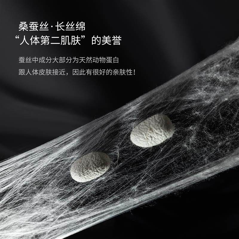 轻奢A类双层桑蚕丝枕芯超柔天丝零压护颈椎助睡眠中高枕头一对装