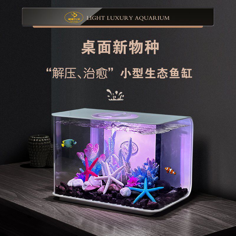 鱼缸客厅2024新款免换水超白增氧一体智能小鱼缸造景摆件水族箱