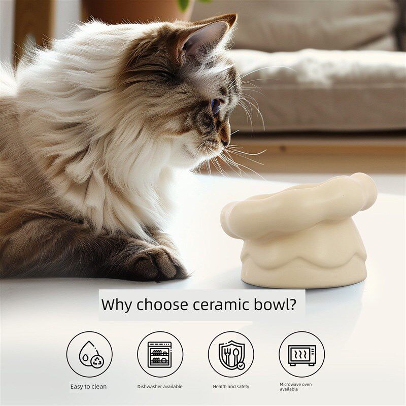 创意猫碗陶瓷宠物碗保护颈椎足碗猫米饭碗猫和狗的食物器具宠物用