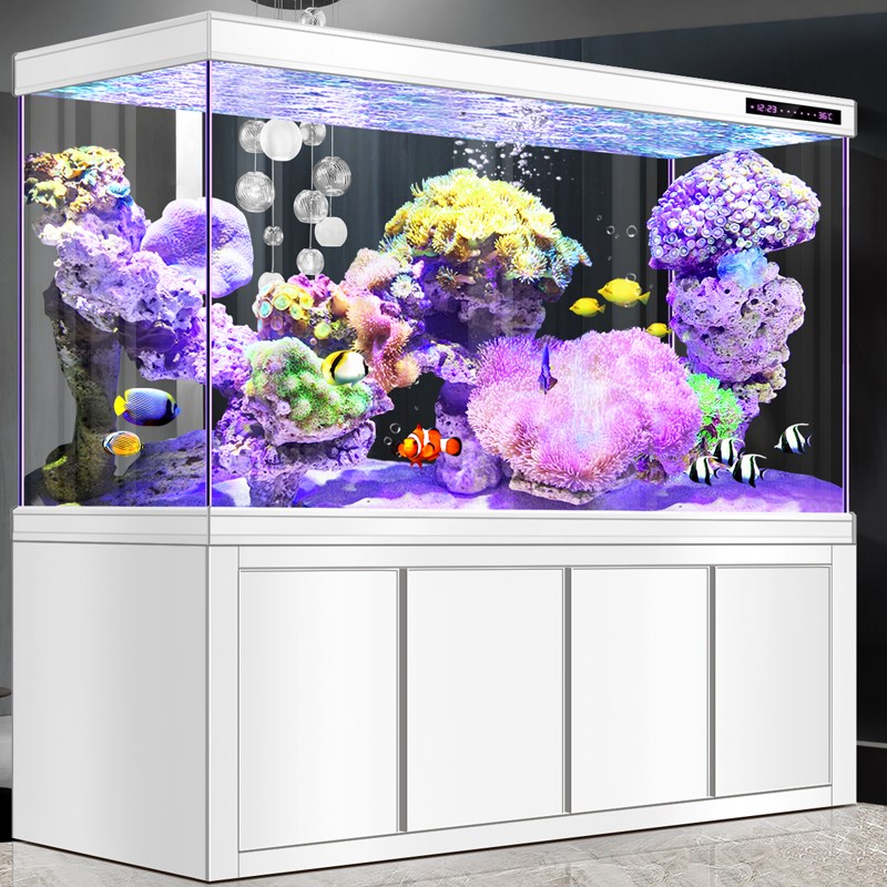 红龙缸客厅大型水族箱底滤超白玻璃家用隔断生态金鱼缸自动免换水