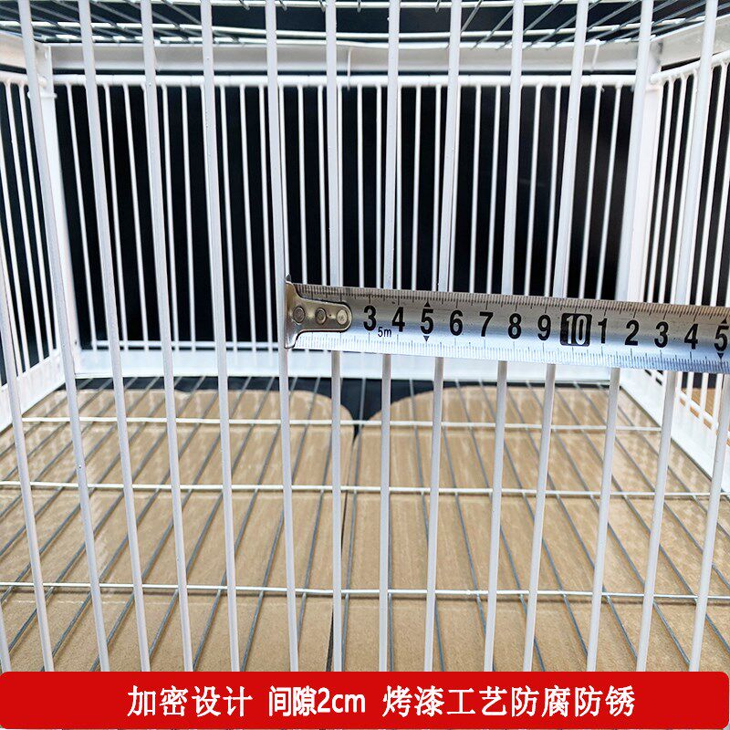 鸽子笼只进不出天落笼加密收鸽笼活络门撞门笼户外自动收鸽子神器