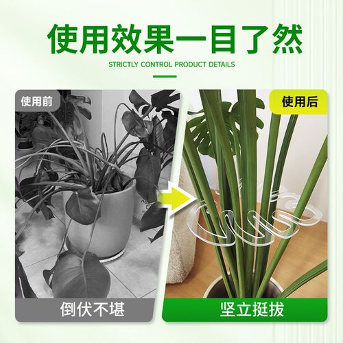龟背竹支撑杆防倒伏支架植物收拢器绿植枝干收拢架水培植物固定器