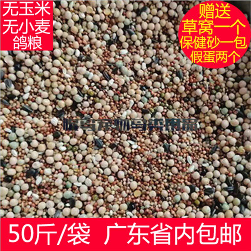 无玉米无小麦鸽粮50斤广东包邮 鸟食 免邮鸽饲料 包邮广东 信鸽料