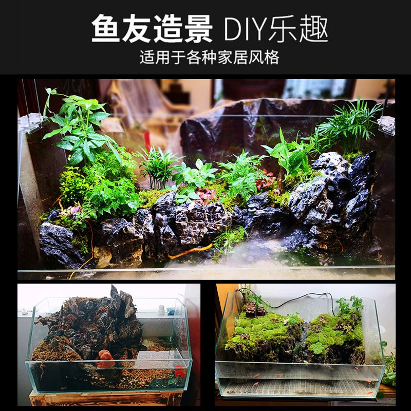水陆两栖生态缸超白鱼缸植物造景缸微景观斜口造景缸乌龟缸雨林缸