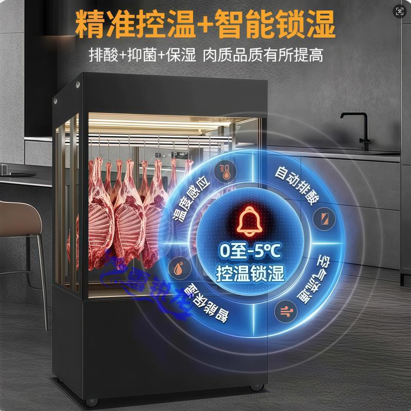 立式挂肉柜牛羊肉排酸柜四面玻璃冷藏冷冻猪肉保鲜腊肠腊肉展示柜
