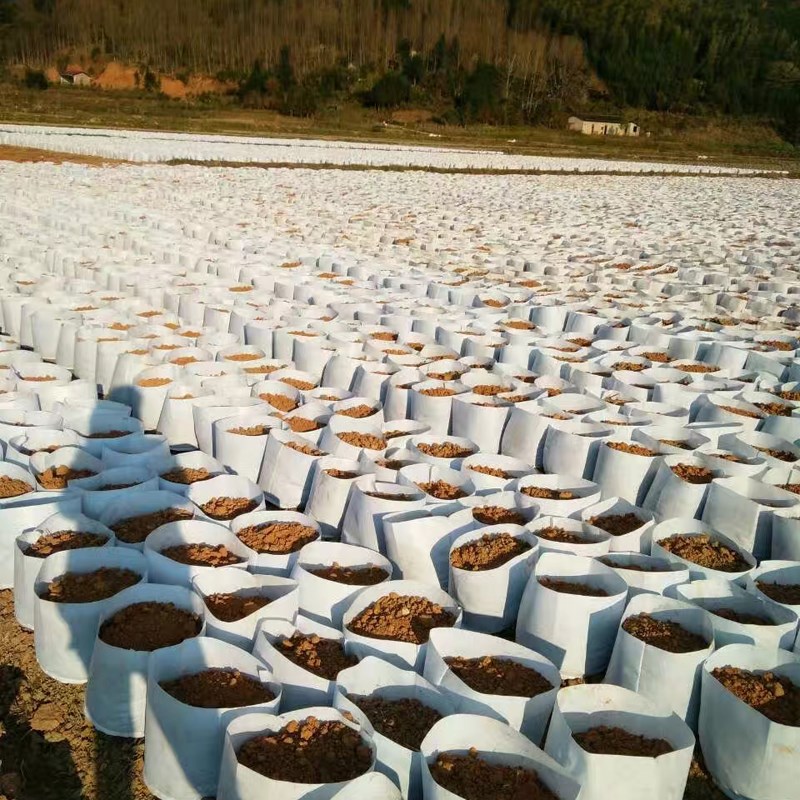 美植袋加厚 厂家直销小号植树袋无纺布种植袋高筒月季种菜营养袋图片