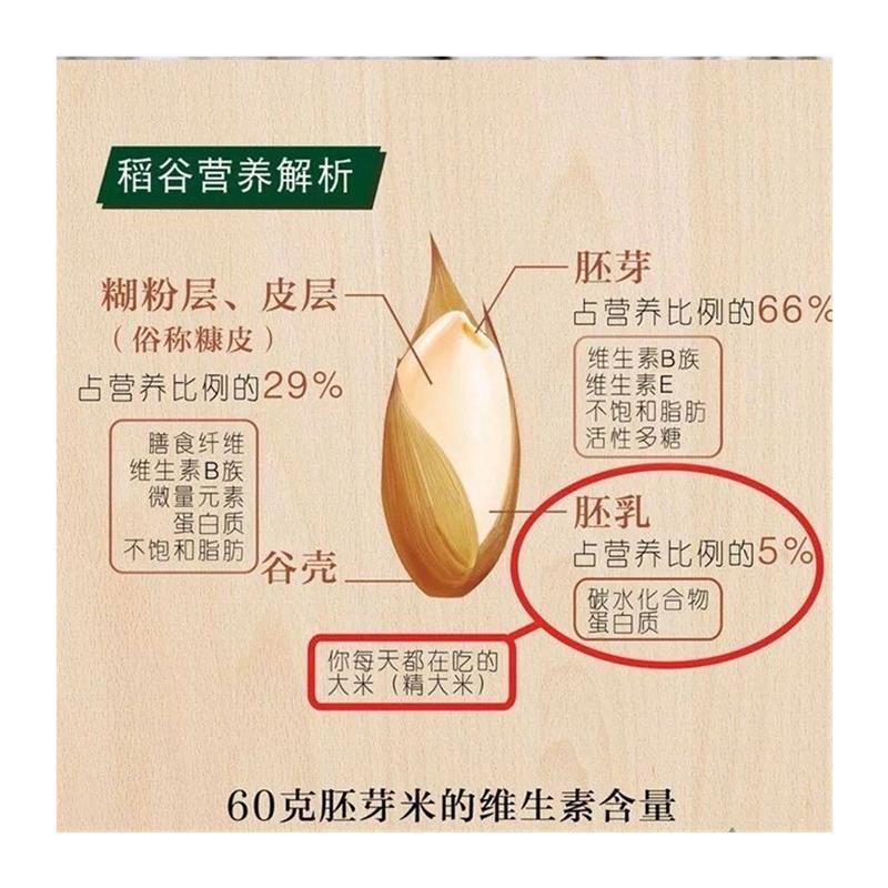 碾米机家用全自动鲜米多功智能稻脱谷脱剥壳胚芽精米打谷糙米厂家