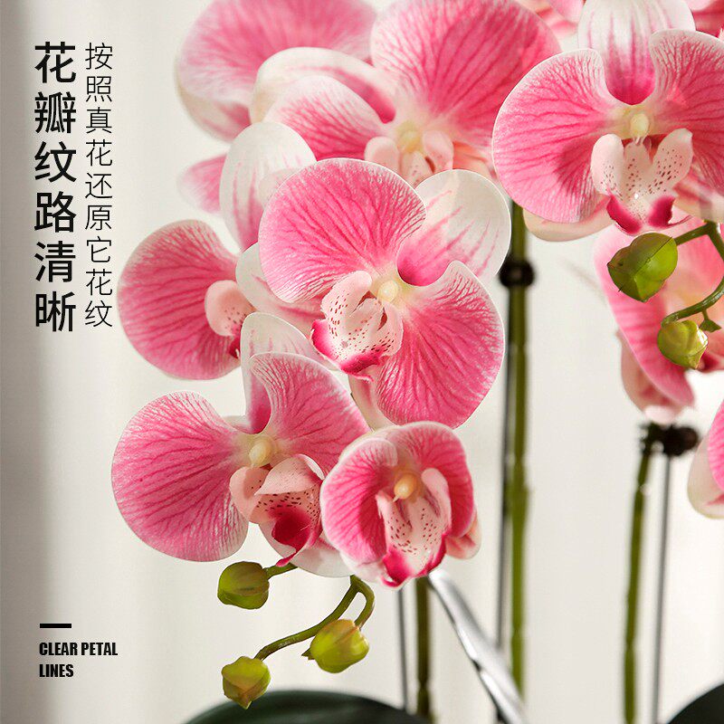 高档蝴蝶兰仿真花艺摆件餐桌客厅电视柜盆栽装饰假花兰花套装摆设