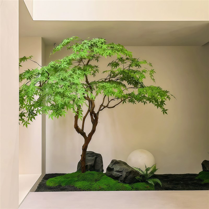 鸡爪槭彷真绿枫树枯山水盆景假树落地摆件室内茶室彷绿植造景装饰