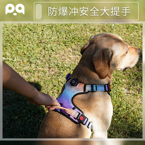 LED反光胸背带搭配牵引绳 宠物安全出行配件 大型犬专用设计