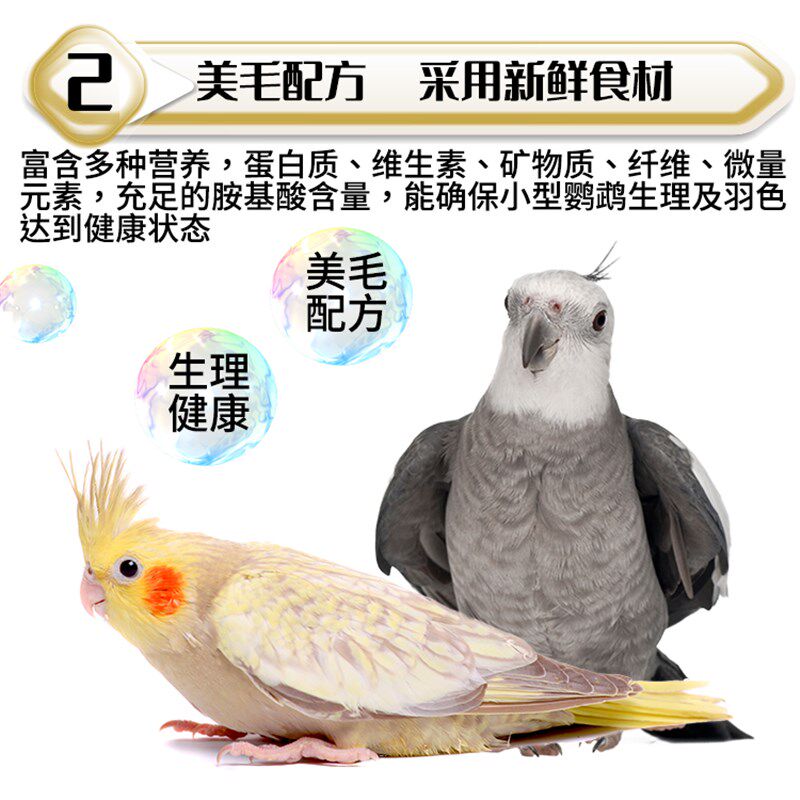 鹦鹉天空玄凤鹦鹉专用饲料黄化白子鸡尾玄凤鹦鹉鸟食粮饲料700克