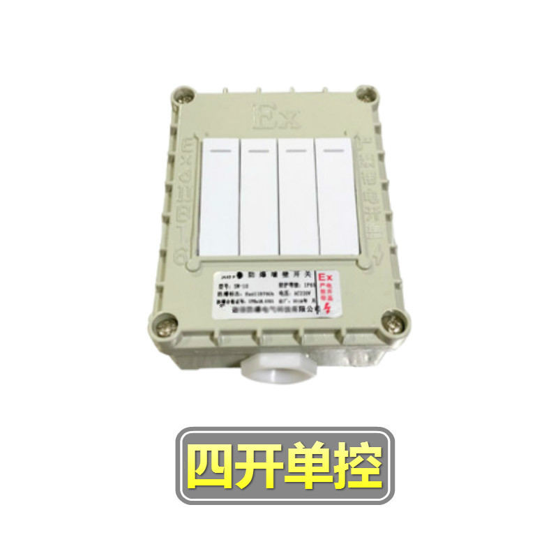 隆誉 防爆开关220V10A墙壁插座明装按钮照明控制86型单联电源开关