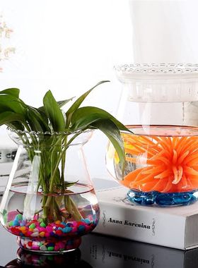 水培植物透明玻璃花盆 圆球玻璃花瓶 含定植篮 可养鱼养花玻璃缸