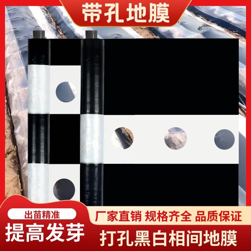 打孔带孔农用黑白膜种植黑白相间地膜保温保湿辣椒花生专用除草膜