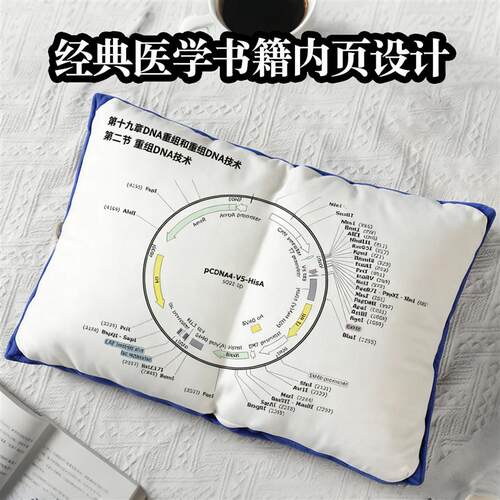生物分子化学蓝皮书书本抱枕科研人周边医学午睡靠枕生日情侣礼物