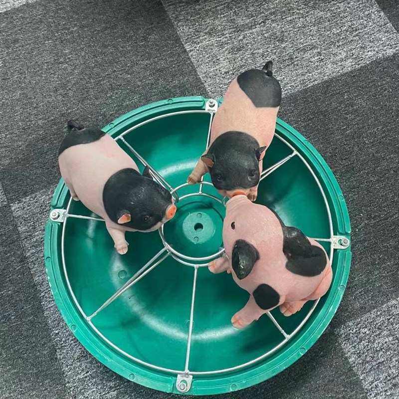 小育猪料槽复合加料厚保育猪槽喂料盆肥仔猪补料养猪用食圆槽喂猪
