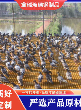 玻璃纤维鸽舍地网网格格栅板家用鸭舍赛鸽养殖漏粪地格栅鸽棚