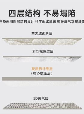 2025新款5D硬质棉羊羔绒床垫软垫榻榻米床垫子180x200垫子冬加厚