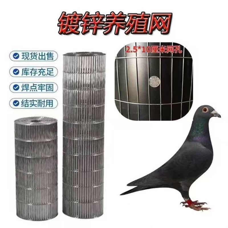 鸟笼网鹌鹑网养殖鸽子网电焊网家用兔笼网格板小格防锈镀锌铁丝网