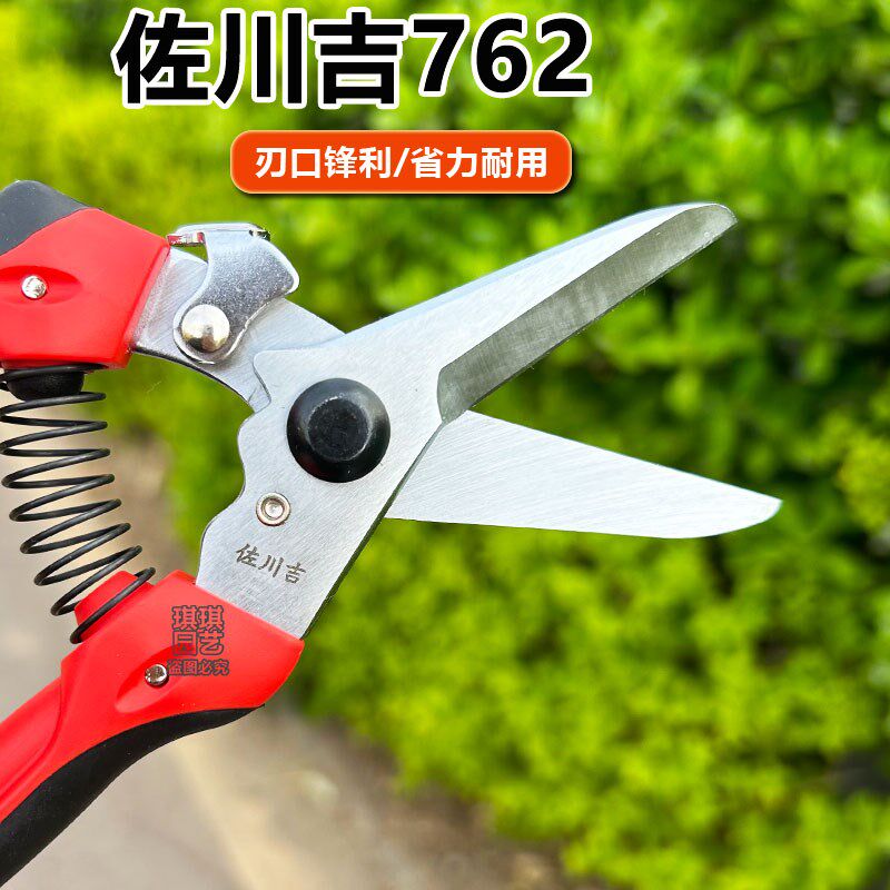 佐川吉762直头台湾稀果剪台湾修枝剪盆景剪刀果树苗木园艺摘果剪