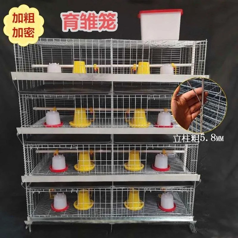 包邮雏鸡笼育雏笼子一体笼家养关小鸡笼子加粗加密家用室外鸡场用